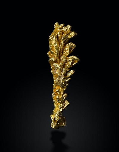 profile-sample2