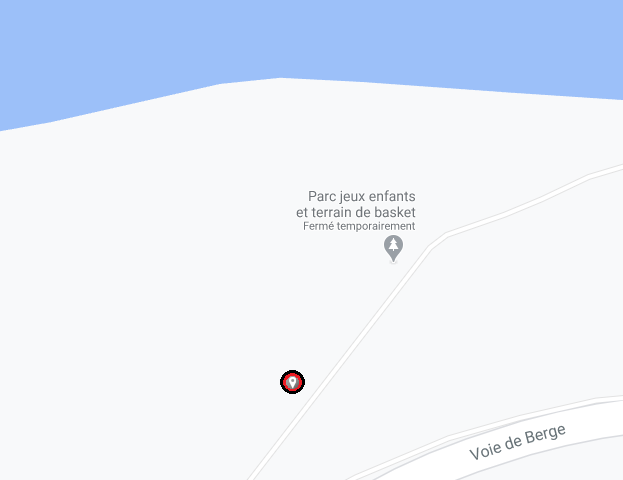 google_map